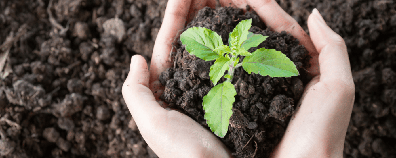 Our environmental promise