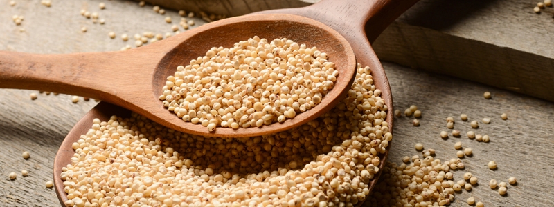 https://images.contentstack.io/v3/assets/blt9777ffe07a3470fa/blt5753b3ed8fe4be20/67387b61c9ed4a6844eb0091/sorghum-grains_1.jpg https://images.contentstack.io/v3/assets/blt9777ffe07a3470fa/blt5753b3ed8fe4be20/67387b61c9ed4a6844eb0091/sorghum-grains_1.jpg