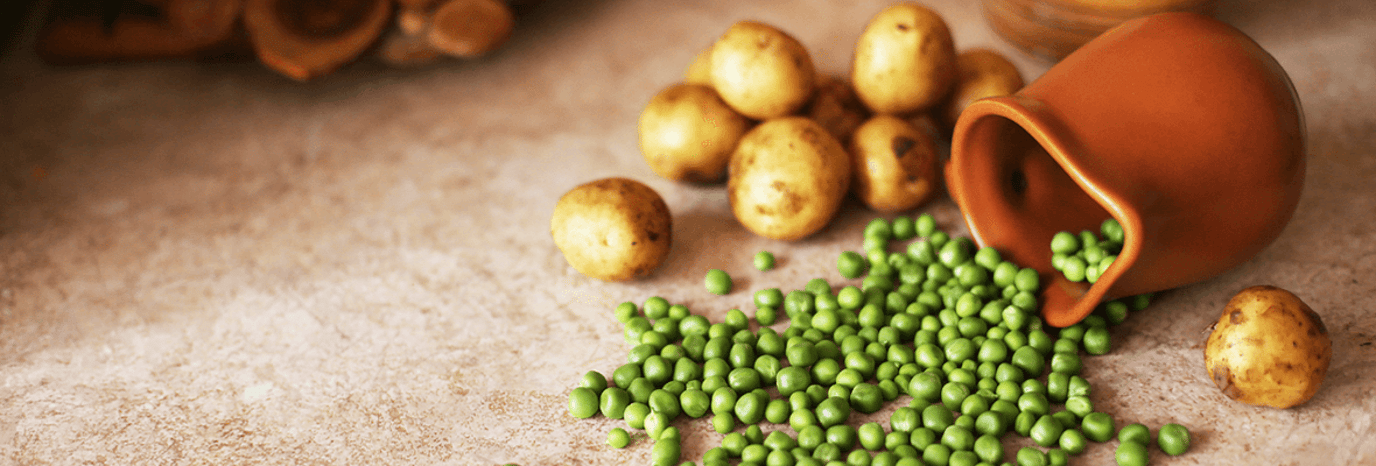 High protein low carb diets