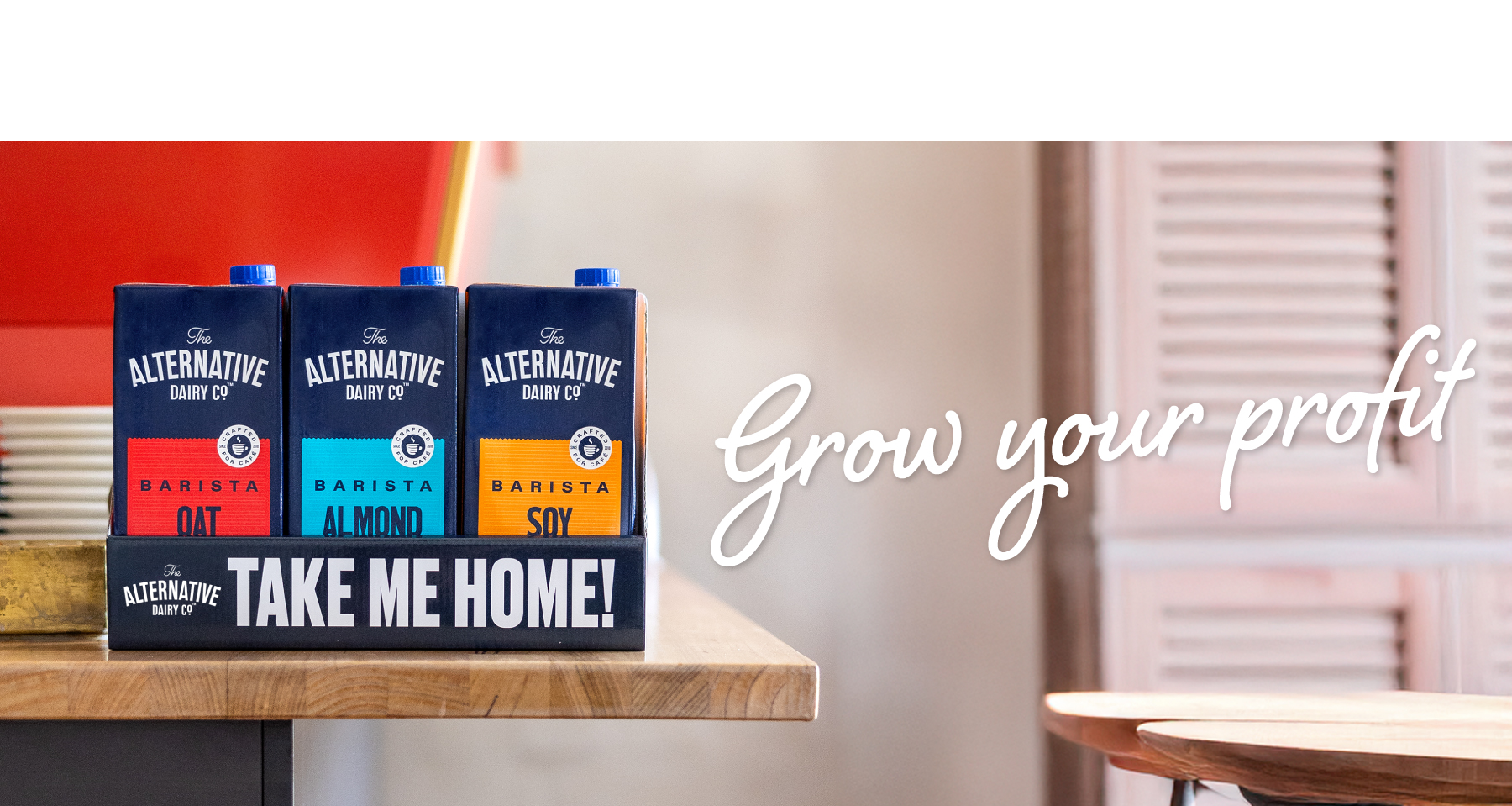 The Alternative: Take Me Home