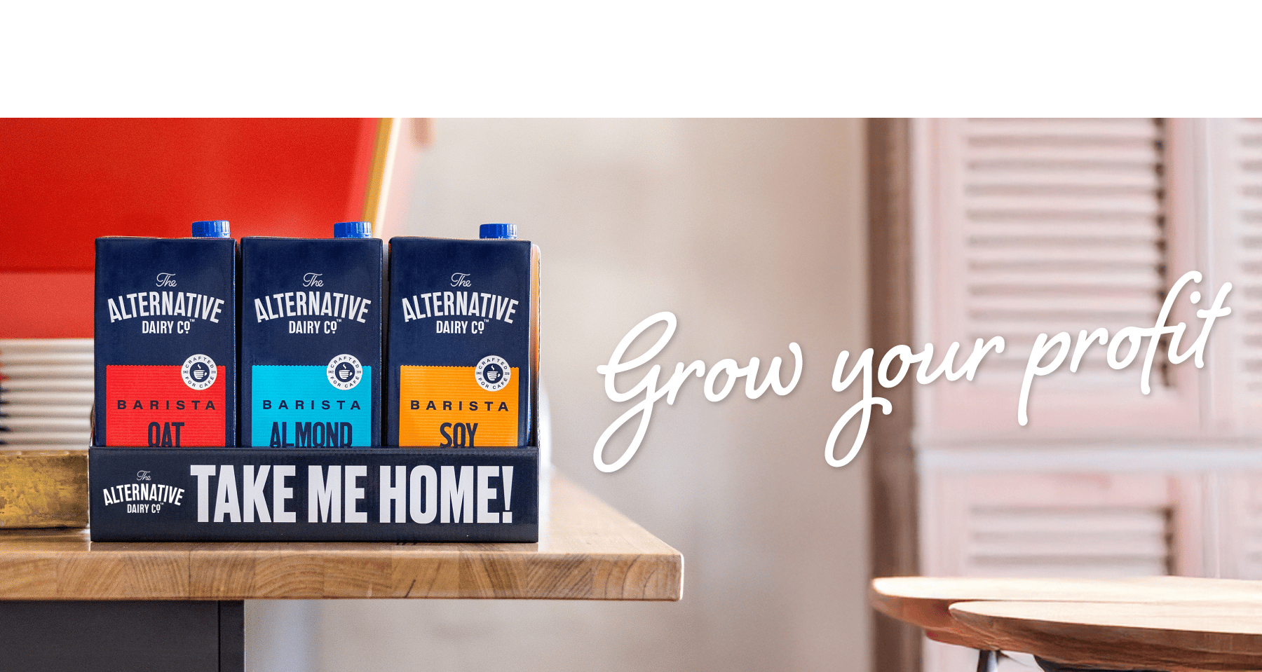 The Alternative: Take Me Home