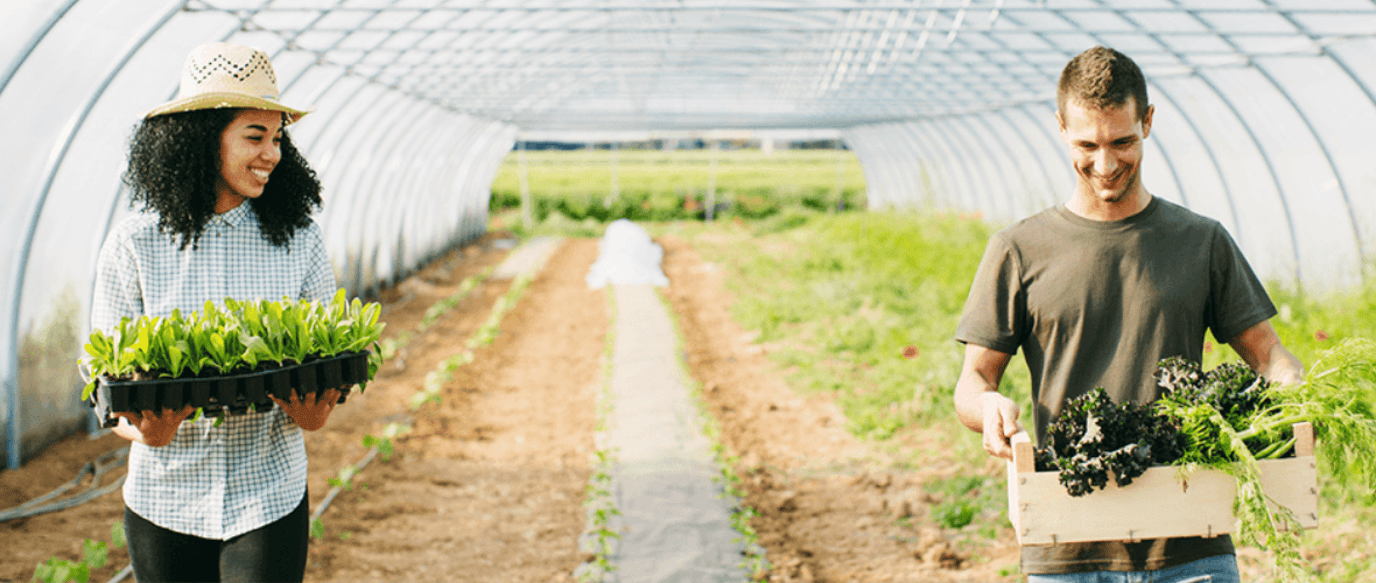 Organic: health or hype?