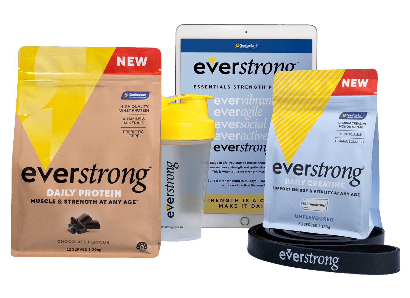 Everstrong protein, creatine