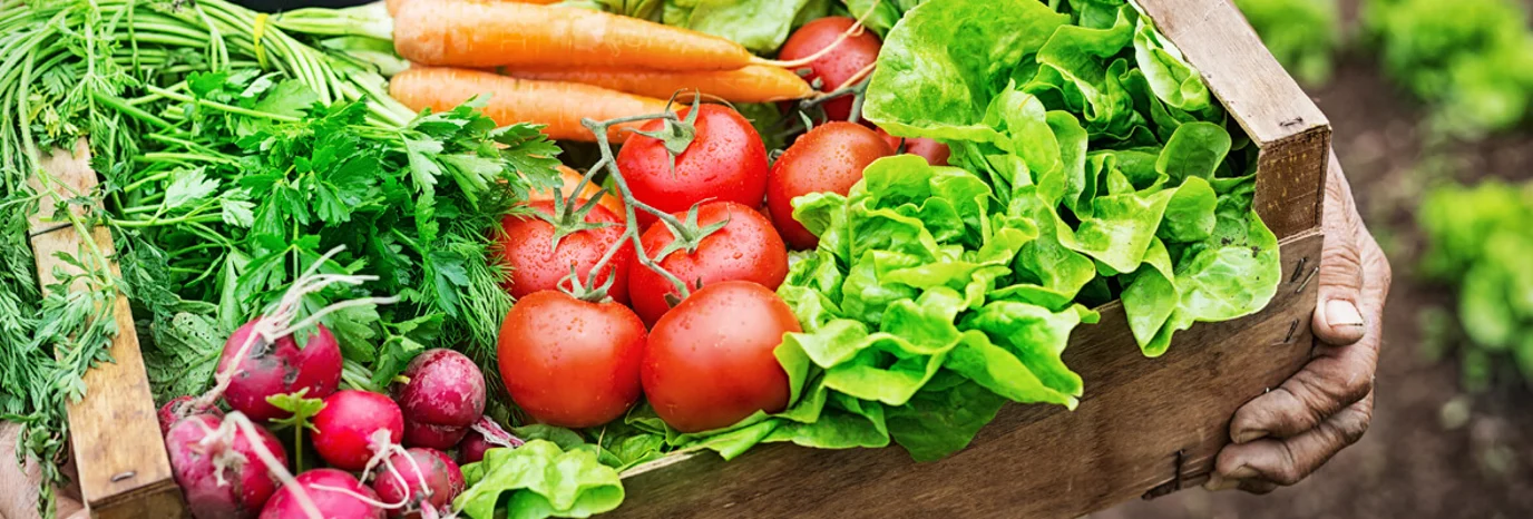 Eating seasonally- why it’s good for the planet, your wallet and your waistline