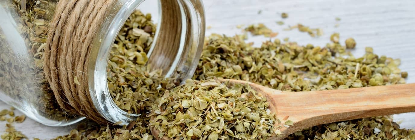Food in Focus: Oregano