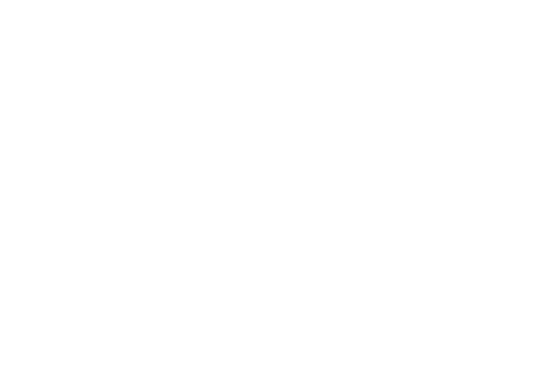 The Alternative Dairy Co: Proudly Pouring at Paradox