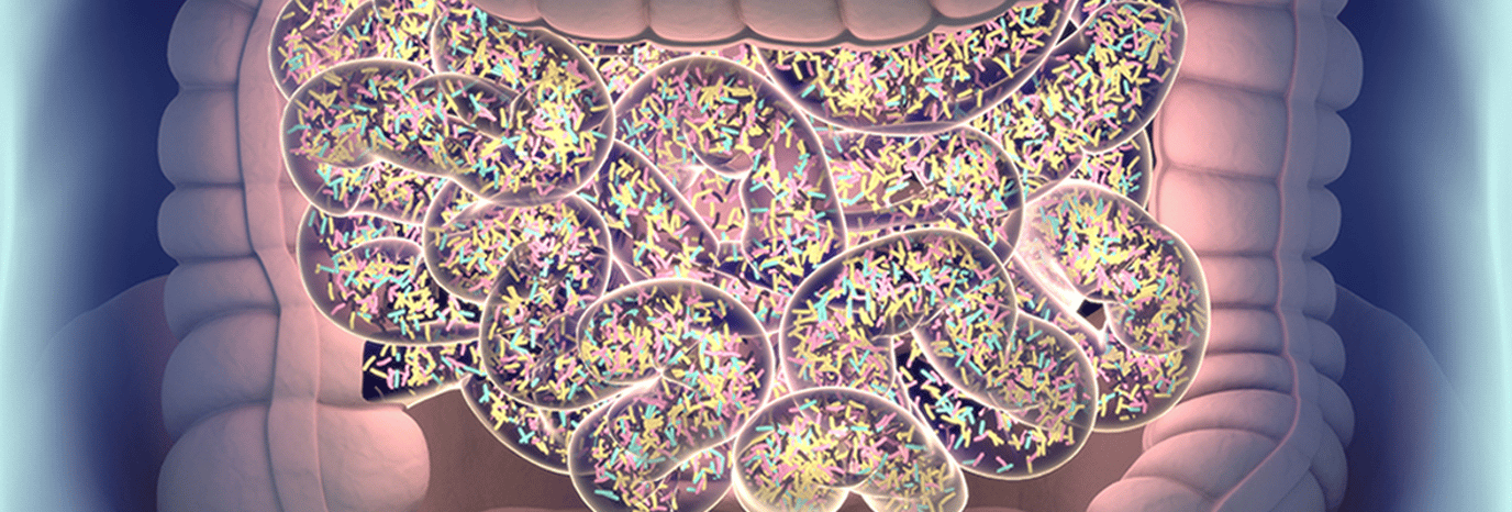 Can the bacteria in your gut change what you weigh?