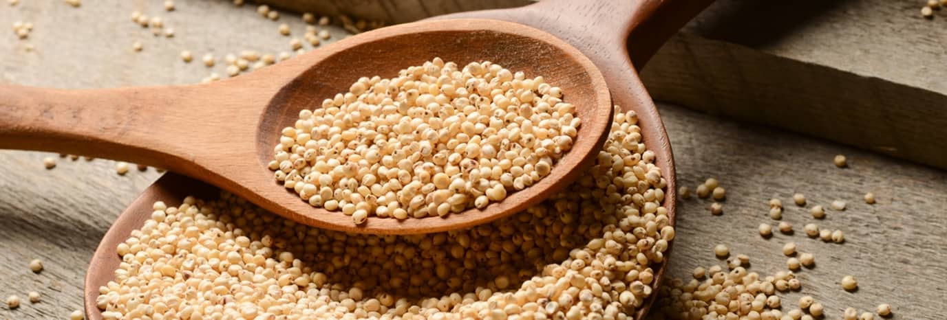 Food In Focus: Sorghum