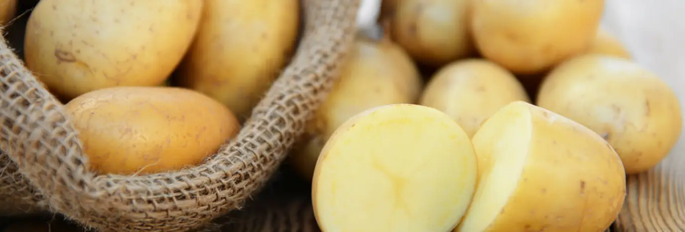 Food in focus: potatoes