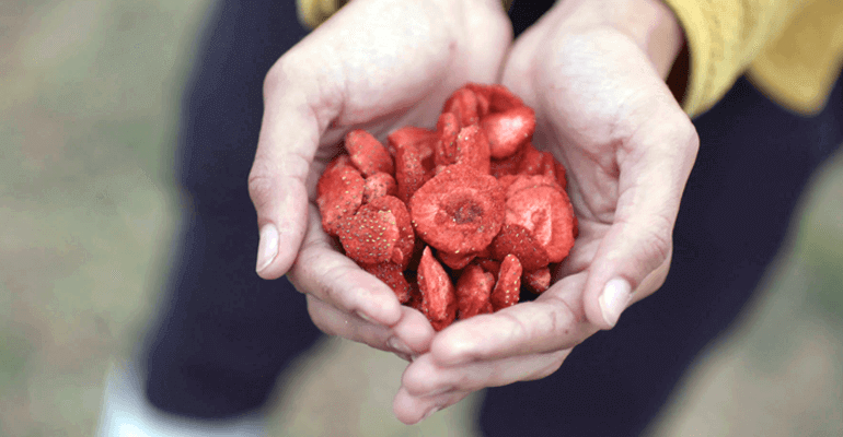 https://images.contentstack.io/v3/assets/blt9777ffe07a3470fa/blta22d077e3fac8af6/6738707ab9001f3cc465c8ff/freeze-dried-berries-1.png https://images.contentstack.io/v3/assets/blt9777ffe07a3470fa/blta22d077e3fac8af6/6738707ab9001f3cc465c8ff/freeze-dried-berries-1.png