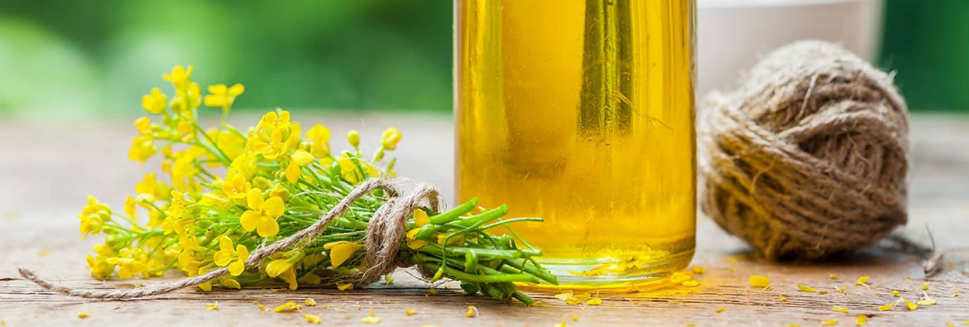 Plant sterols are the secret ingredient for a healthy heart