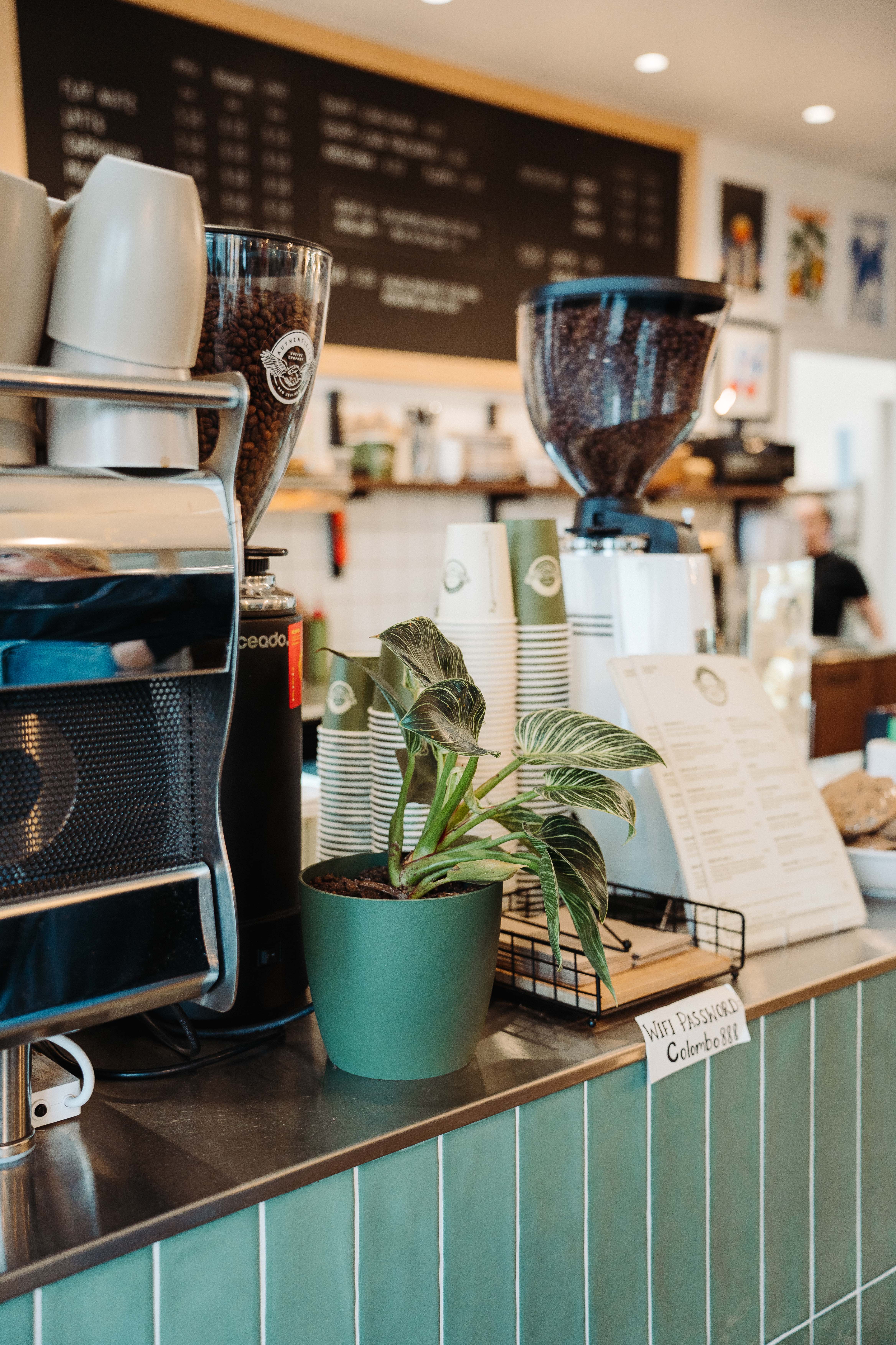A JPEG photo of Authenticity Cafe in Christchurch, likely an interior or atmosphere shot from the ADC series.