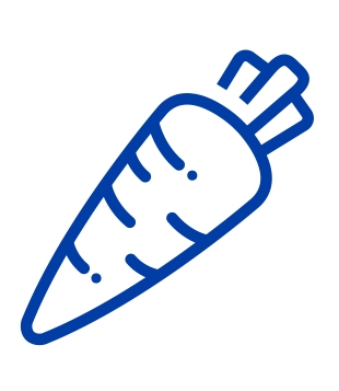 https://images.contentstack.io/v3/assets/blt9777ffe07a3470fa/bltb5a00cf16bb23397/673877efb604f4f9a5b0fe91/Sanitarium_Carrot_Icons_RGB.jpg