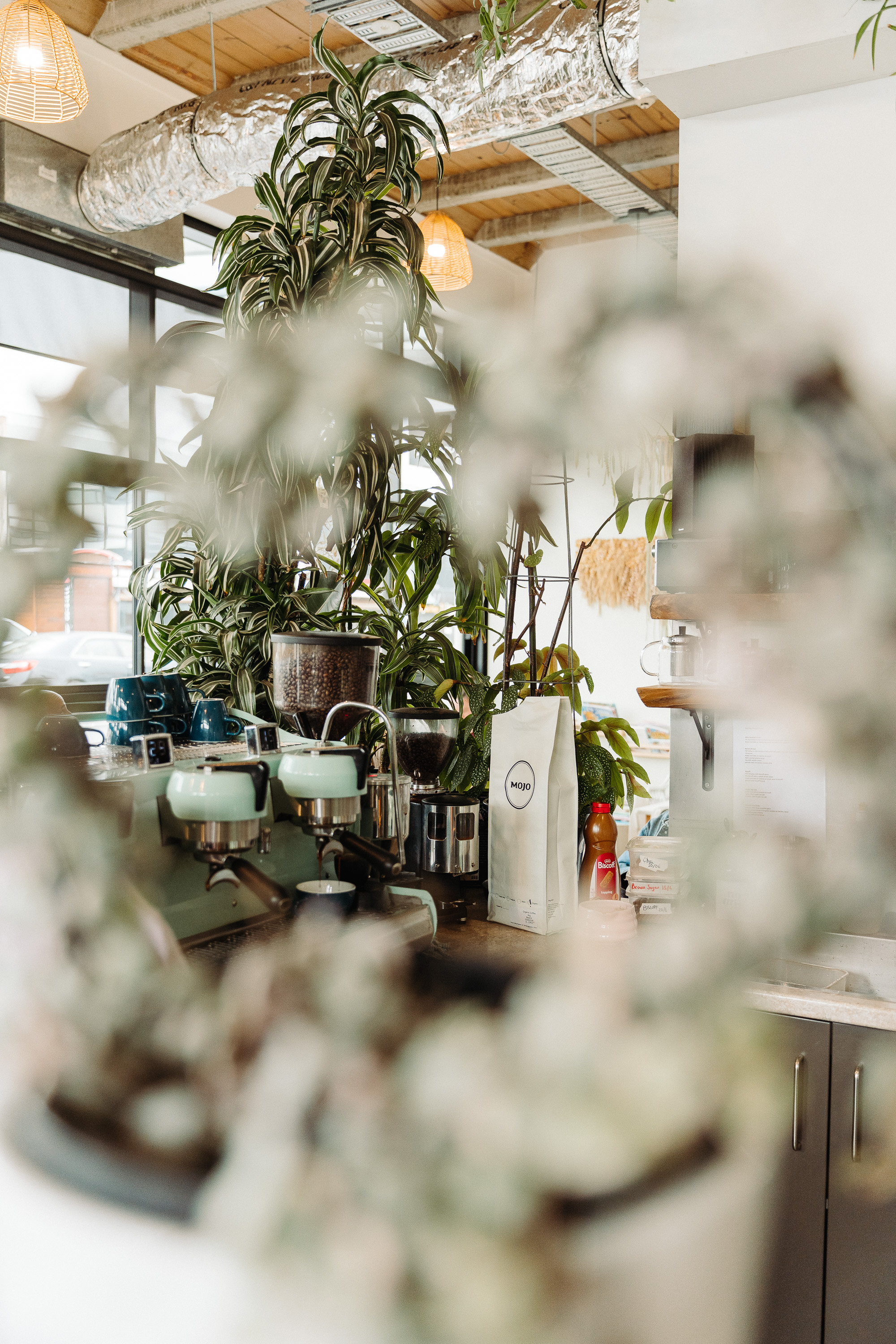 A cozy coffee shop counter with an espresso machine, coffee grinder, and a bag of coffee beans, surrounded by lush indoor plants and warm pendant lighting in an industrial-style interior.