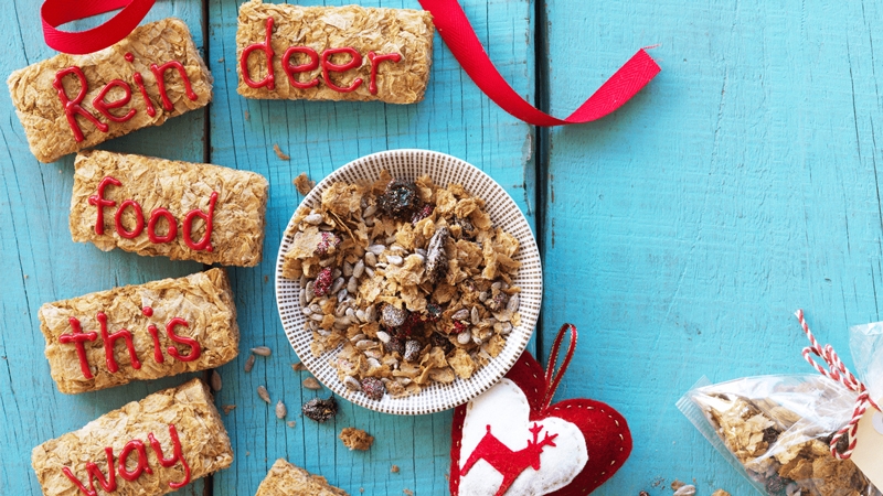 https://images.contentstack.io/v3/assets/blt9777ffe07a3470fa/bltc2858993f3a751aa/67387247ef6d2318ddde0b53/WB-Reindeer-Food_1.jpg