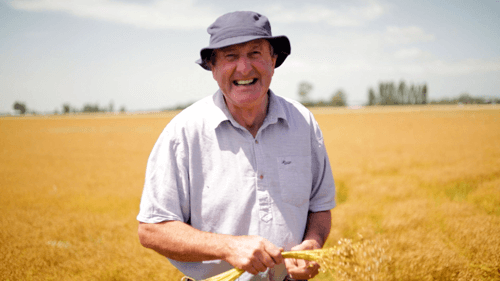 https://images.contentstack.io/v3/assets/blt9777ffe07a3470fa/bltd8d1d97f91cdeef7/6738706934fdb4d61a7fb6b0/Linseed-Farmer-Canterbury-3.png https://images.contentstack.io/v3/assets/blt9777ffe07a3470fa/bltd8d1d97f91cdeef7/6738706934fdb4d61a7fb6b0/Linseed-Farmer-Canterbury-3.png