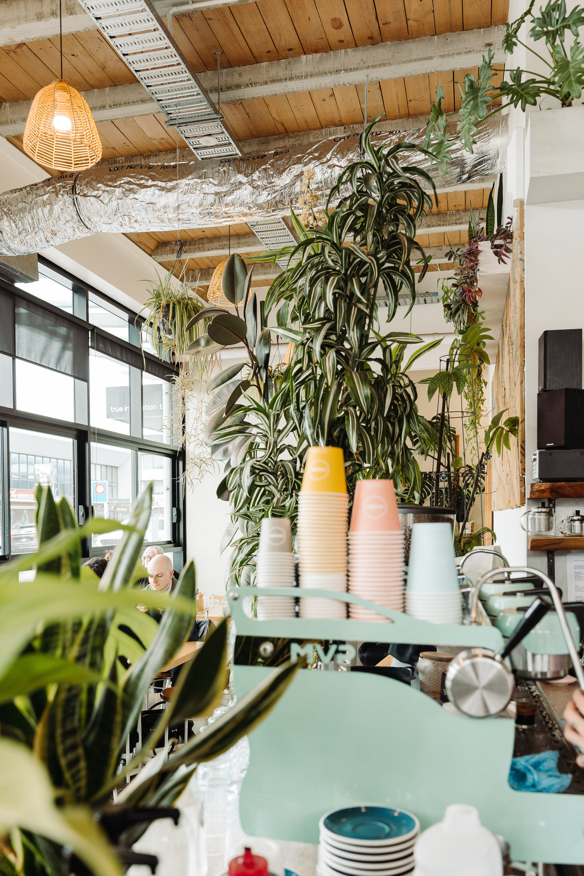 Bright, plant-filled cafe interior with hanging greenery and wicker pendant lights, viewed across an espresso bar where stacks of colorful paper coffee cups sit beside an espresso machine.