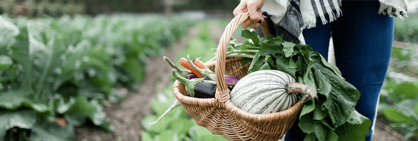 Eating green - making it sustainable