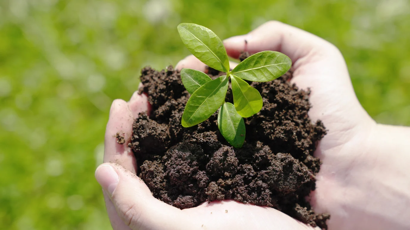 Our environmental promise
