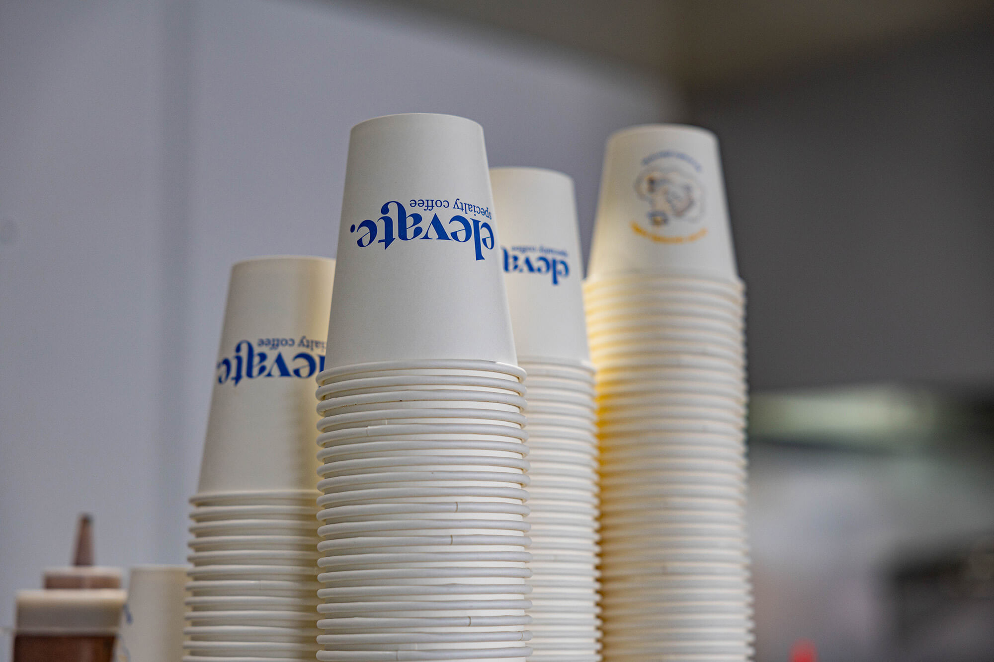 SR3_2635-1.jpg