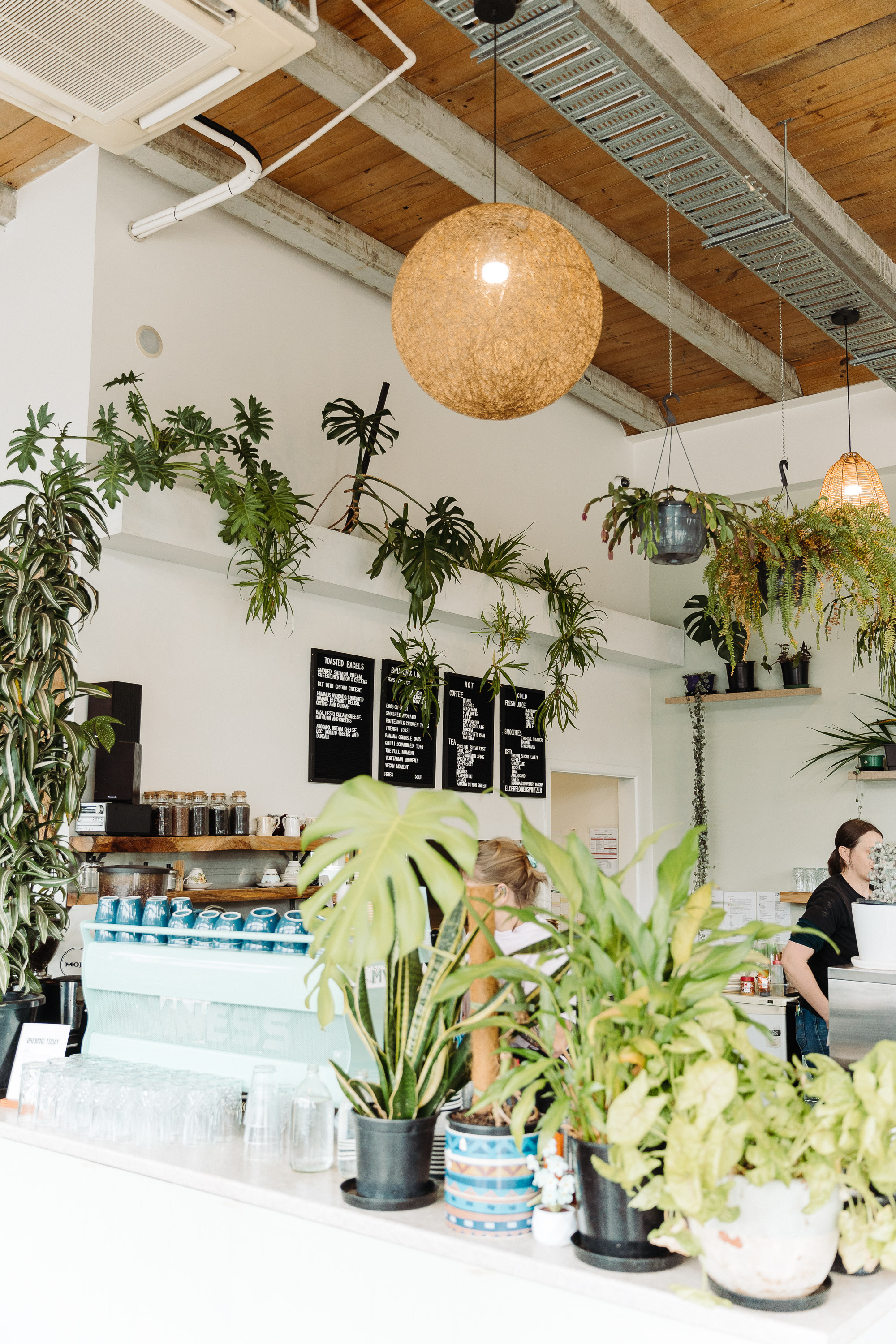 Bright, plant-filled café interior with hanging pendant lights, exposed wooden ceiling beams, and a counter area with menu boards and cups in the background.