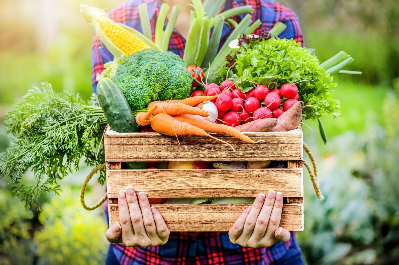 5 tips to stick to your resolution and eat more plants