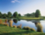 Golf course - deerpark-course-fota-island-golf-club : deerpark-lake-3rd-green