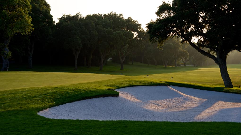Golf course - valderrama : d823131
