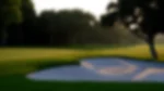 Golf course - valderrama : d823131