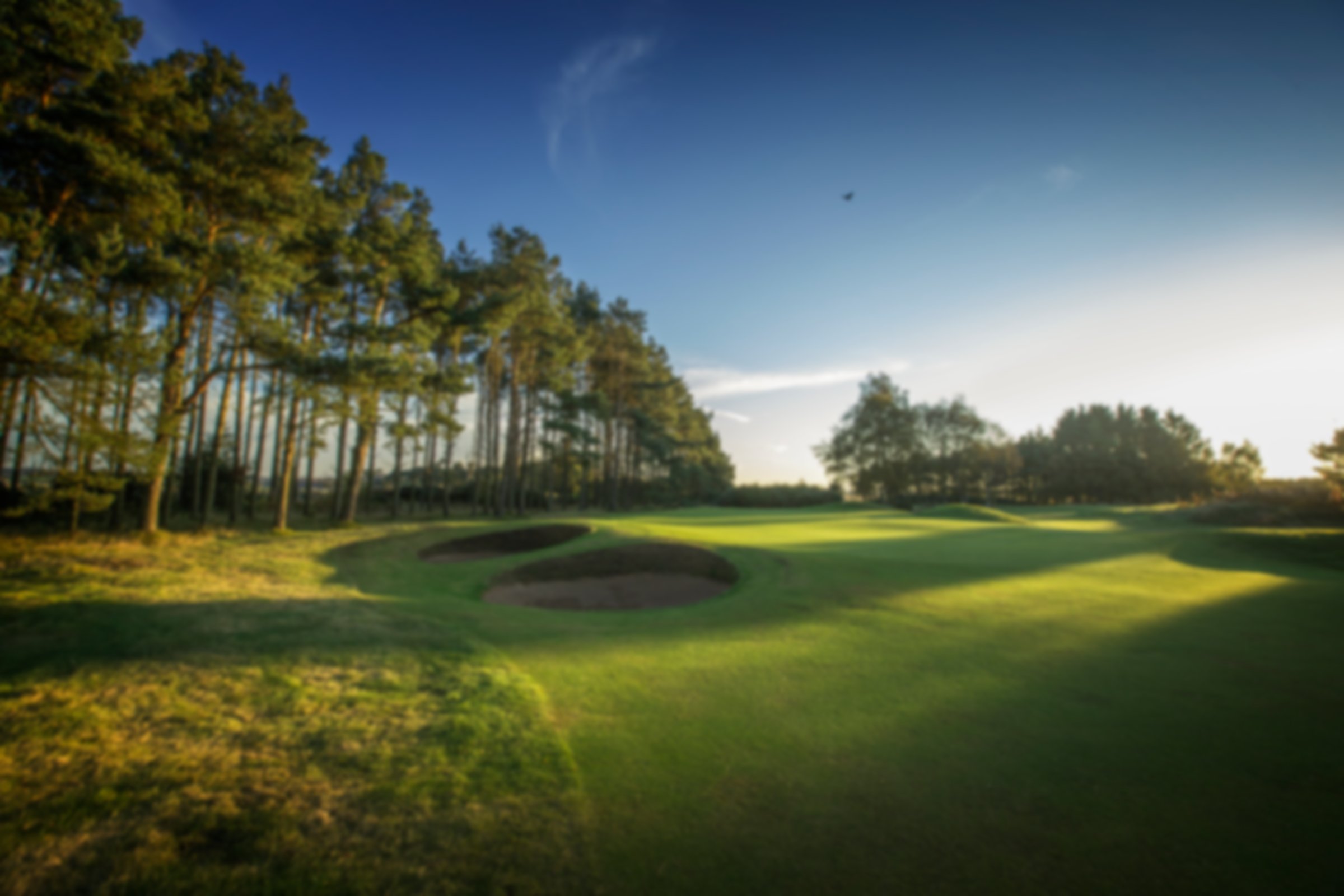 Panmure Golf Club - 14th