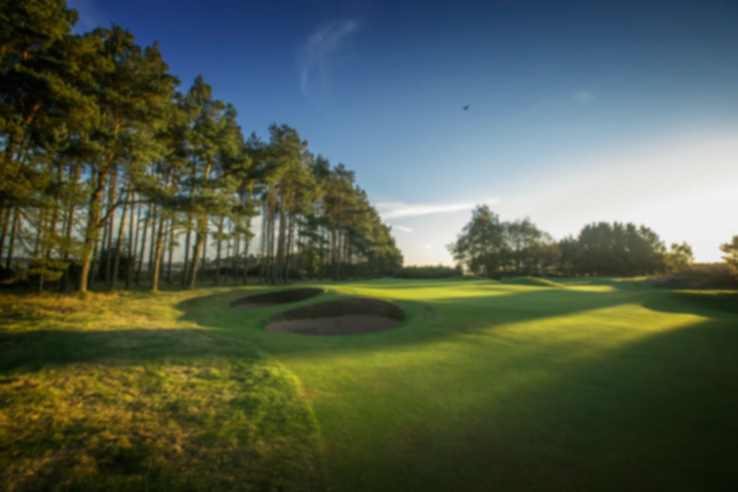 Panmure Golf Club - 14th