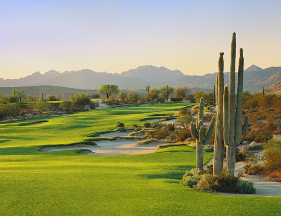 Golf course - saguaro-course : saguaro-18