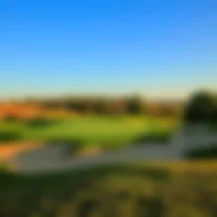 amendoeria-faldo-2544-web