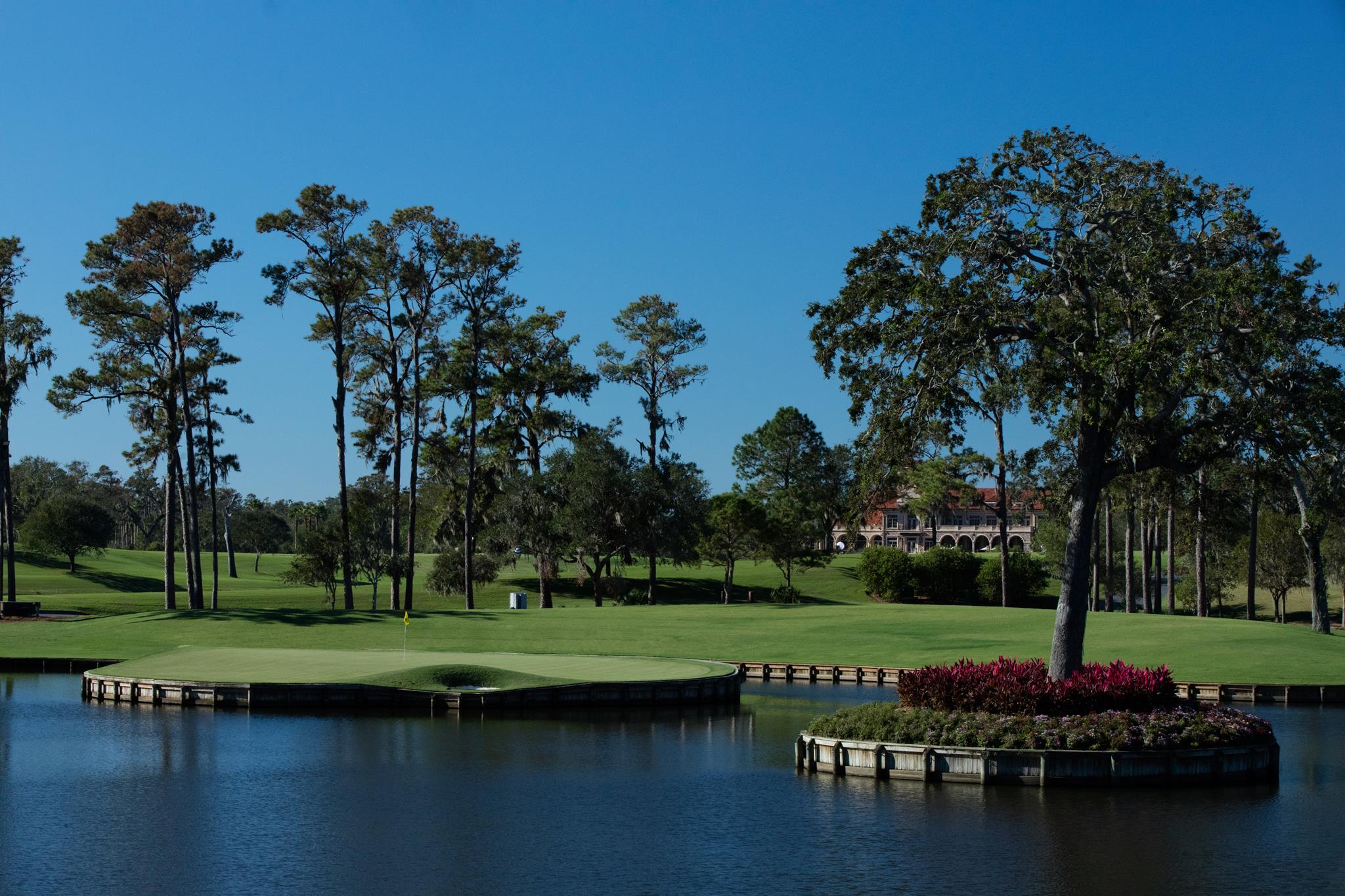 Sawgrass Stadium Course 3 - 17th green 3