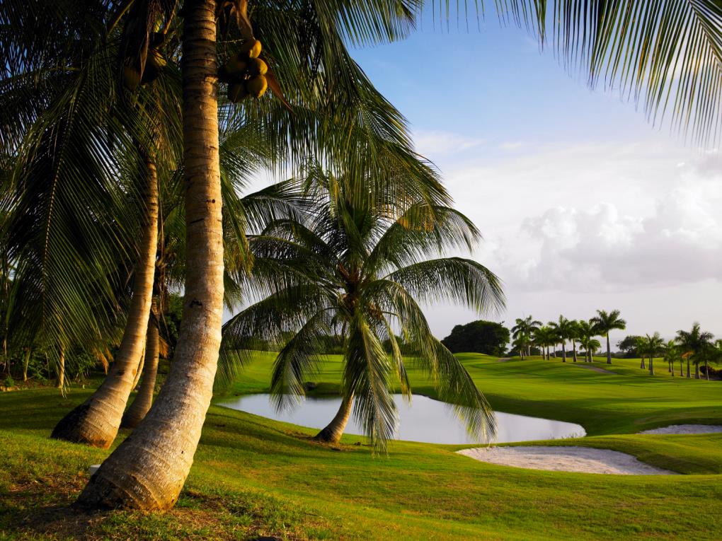 Golf course - royal-westmoreland-golf-club : golf-course-general