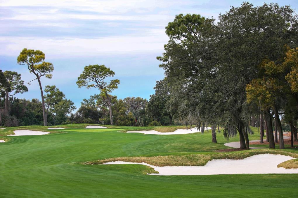 Golf course - copperhead-course-innesbrook-golf-resort : innisbrook-copperhead-0726-web