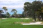 Golf course - copperhead-course-innesbrook-golf-resort : innisbrook-copperhead-0726-web