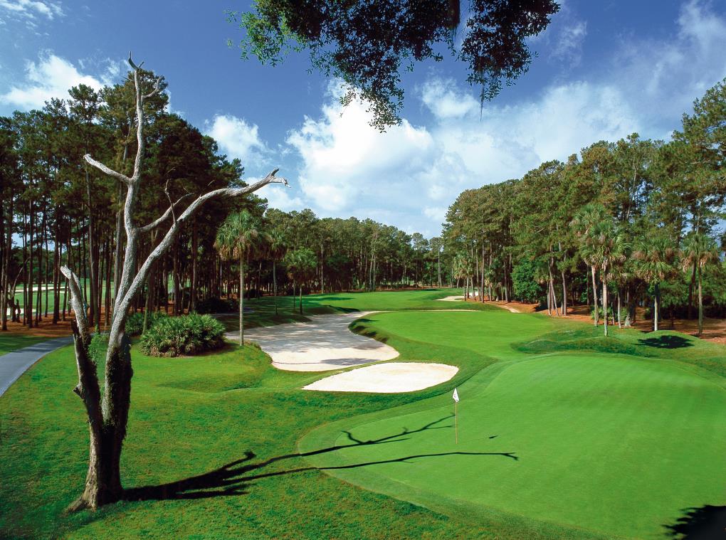 Golf course - marsh-landing-country-club : sawgrassstadium10b