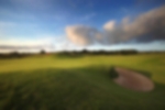 Golf course - royal-birkdale : royal-birkdale-16th-img82511031x687