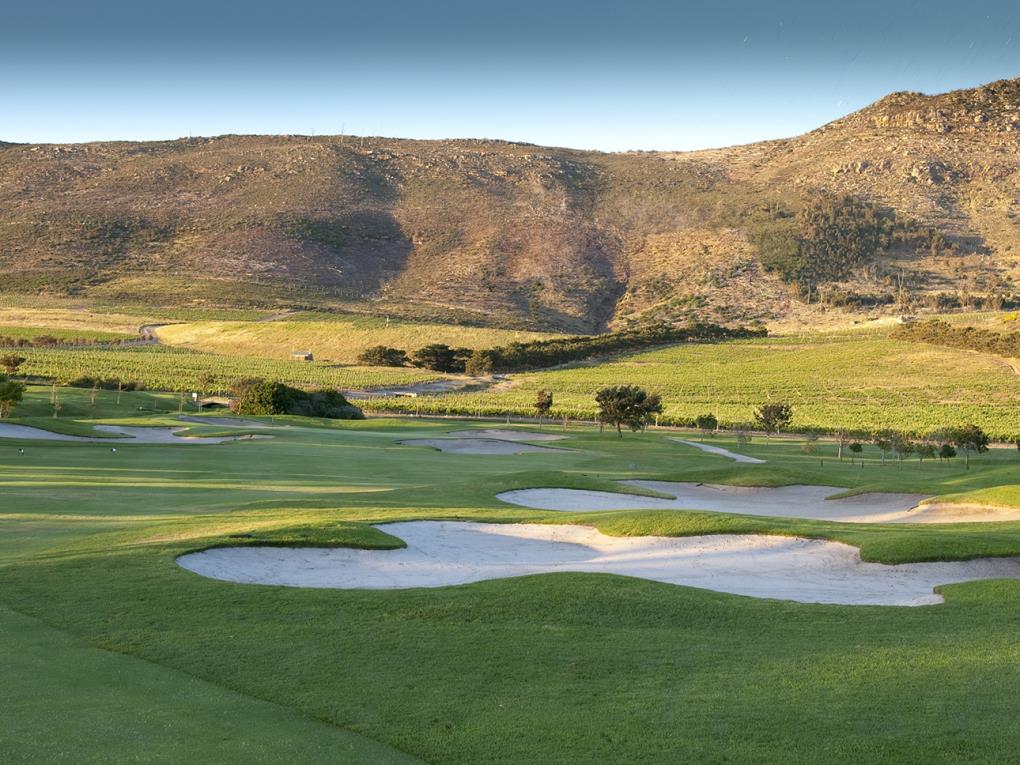 Venue - steenberg-hotel : steenberg-golf-course-8-resized