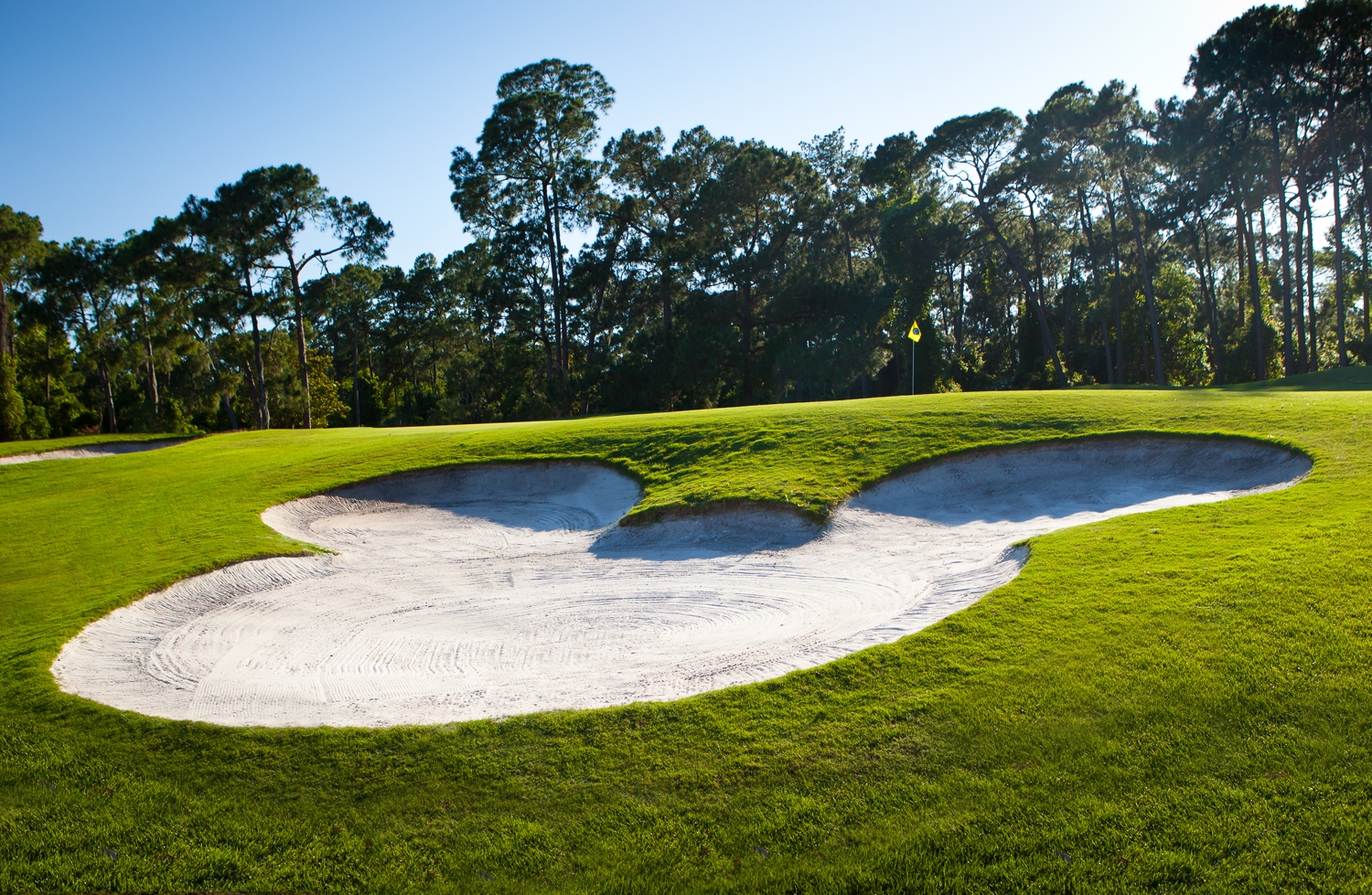 Disney's Magnolia Golf Club | Orlando | Golf Packages & Deals