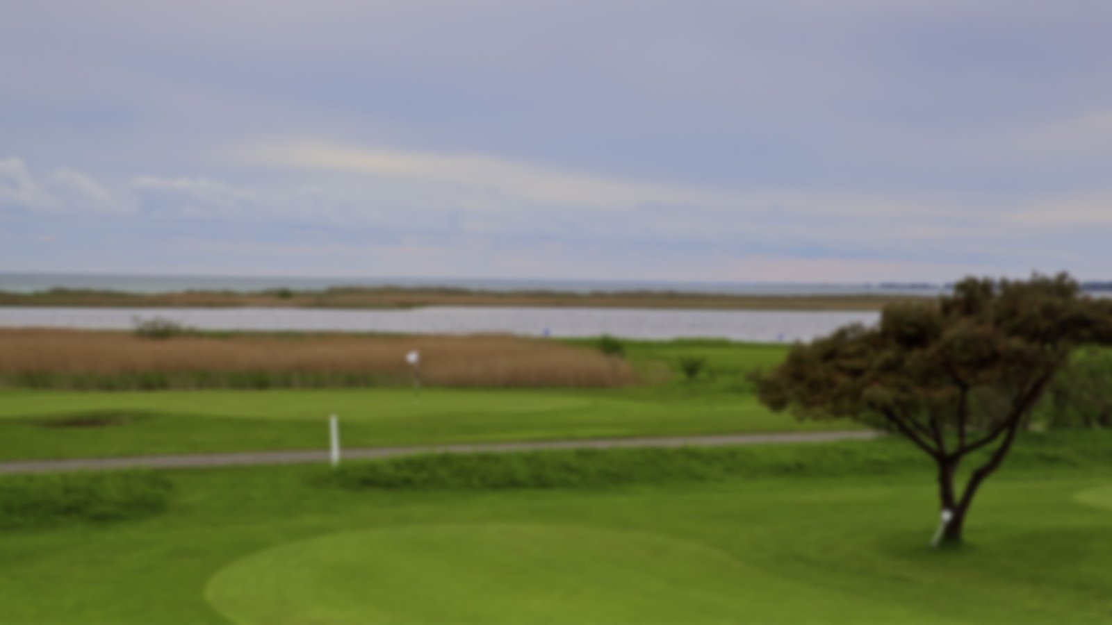 Well kept green with trees and water surrounding it