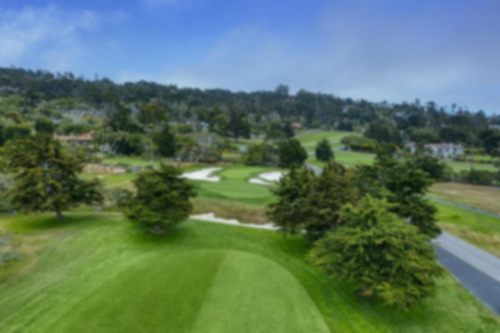 Thick bushy trees, small green makes for a very tough approach shot into the green