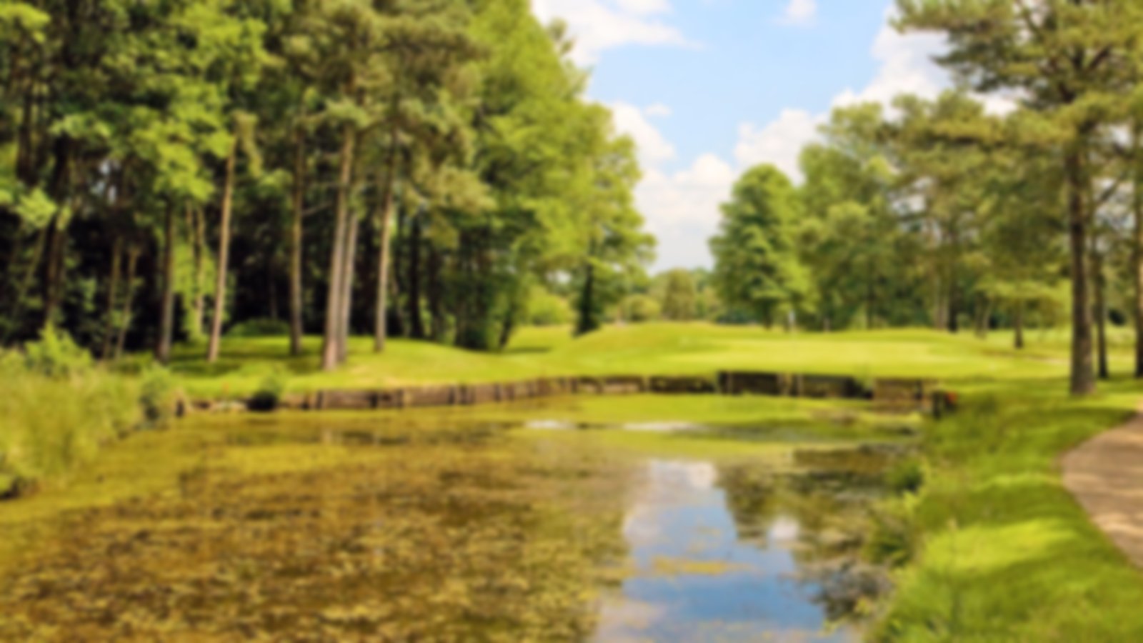 Great water feature at Old Thorns