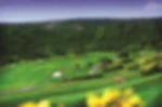The Alto Club Golf & Academy