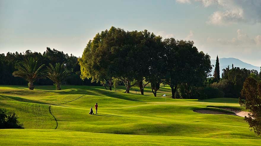 Trees next to the green at Golf Citrus at Hammamet