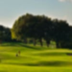 Trees next to the green at Golf Citrus at Hammamet
