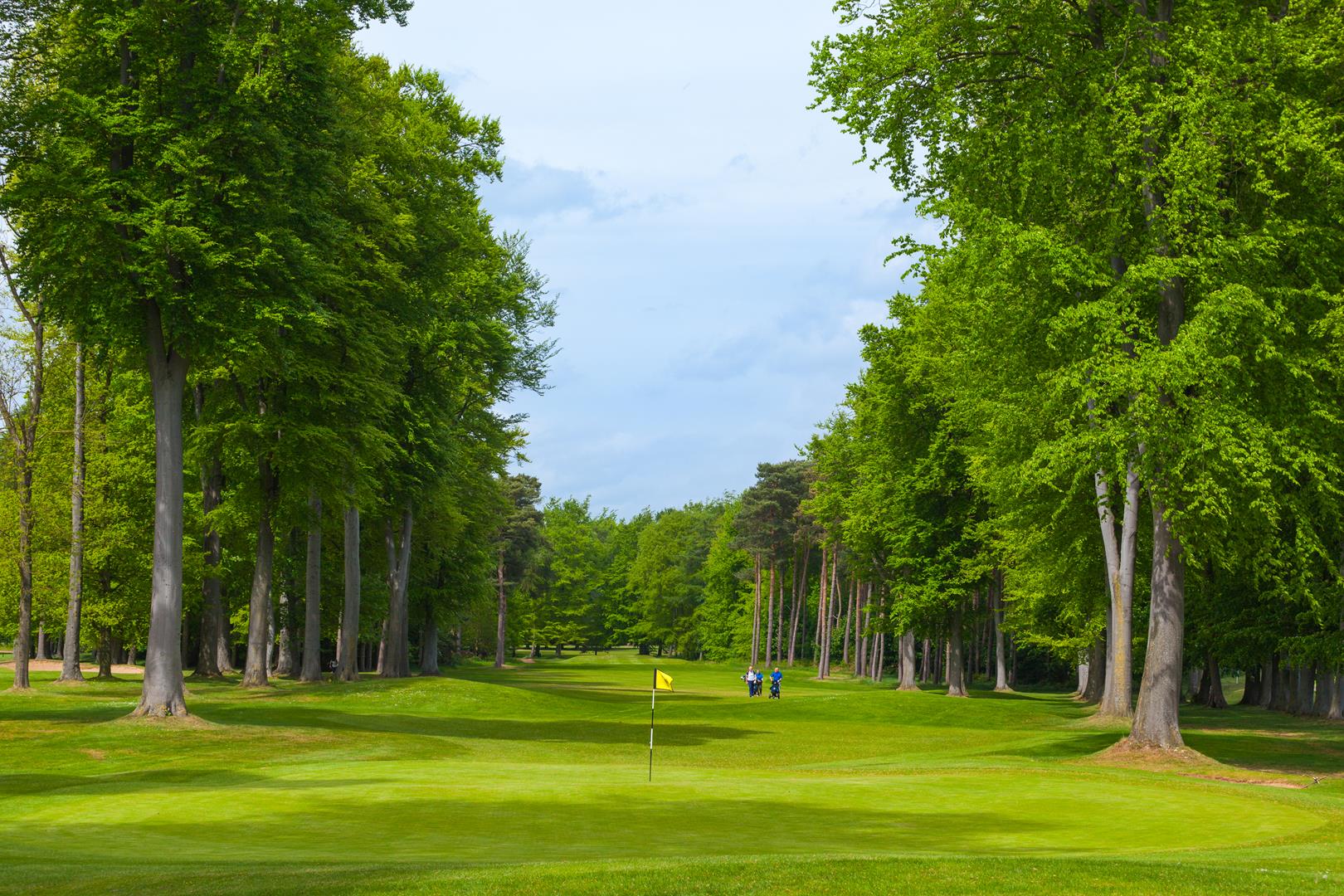 Forest Pines Hotel, Spa & Golf Resort