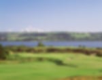 Golf course - cork-golf-club : 58519-copy