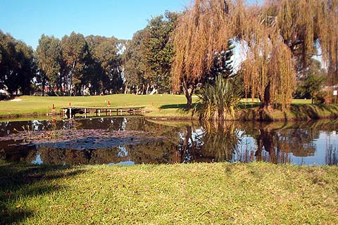 Golf course - royal-cape : golfcourseroyalcape31